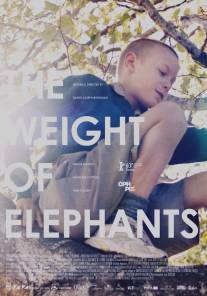 Вес слонов/Weight of Elephants, The (2013)