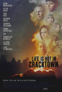 Веселая жизнь в Крэктауне/Life Is Hot in Cracktown (2008)