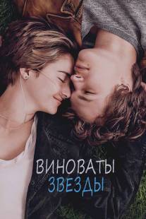 Виноваты звезды/Fault in Our Stars, The