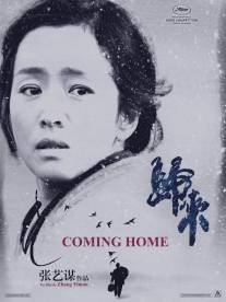 Возвращение домой/Gui lai (2014)