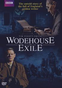 Вудхаус в изгнании/Wodehouse in Exile (2013)