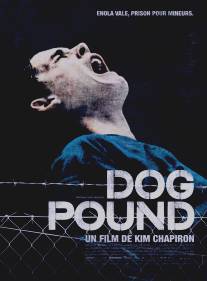 Загон для собак/Dog Pound