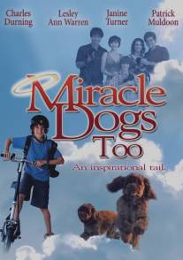 Зак и чудо-собаки/Miracle Dogs Too