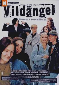 Дикий ангел/Vildangel (1997)