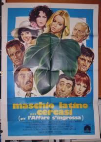 Разыскивается латинский мачо/Maschio latino cercasi (1977)