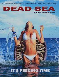 Мёртвое море/Dead Sea (2014)