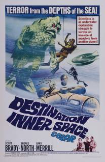 Цель - подводная стихия/Destination Inner Space (1966)
