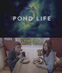 Жизнь Пондов/Pond Life (2012)