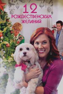 12 Рождественских желаний/12 Wishes of Christmas (2011)