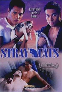 Дикие коты/Mga pusang gala (2005)