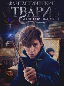 Фантастические звери и места их обитания/Fantastic Beasts and Where to Find Them