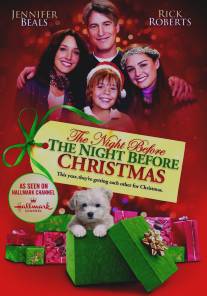 Рождественские приключения семейства Фоксов/Night Before the Night Before Christmas, The (2010)
