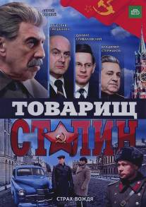 Товарищ Сталин/Tovarisch Stalin (2011)