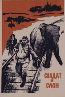Солдат и слон/Zinvorn u pighe (1977)
