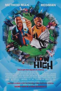 Торчки/How High (2001)