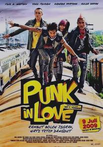 Влюбленный панк/Punk in Love (2009)