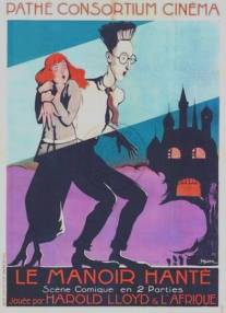 Испуганные призраки/Haunted Spooks (1920)
