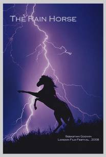 Лошадь дождя/Rain Horse, The