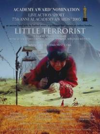 Маленький террорист/Little Terrorist (2004)