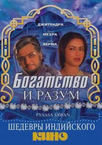Богатство и разум/Pyaasa Sawan (1981)
