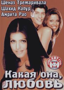 Какая она, любовь/Ishq Vishk (2003)
