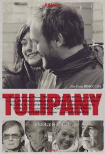 Тюльпаны/Tulipany (2004)