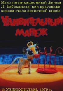 Удивительный манеж/Udivitelniy manezh (1979)