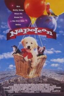 Наполеон/Napoleon (1995)