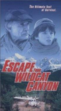 Побег из каньона дикой кошки/Escape from Wildcat Canyon