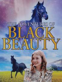 Приключения Черного Красавчика/Adventures of Black Beauty, The