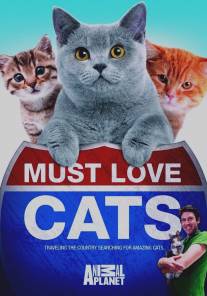 Кошек не любить нельзя/Must Love Cats