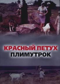 Красный петух плимутрок/Krasnyy petukh plimutrok (1975)