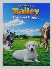 Приключения Бэйли: Потерянный щенок/Adventures of Bailey: The Lost Puppy (2010)