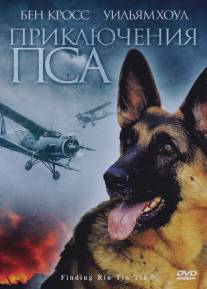 Приключения пса/Finding Rin Tin Tin (2007)