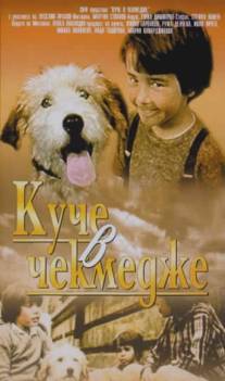 Собака в ящике/Kuche v chekmedzhe (1982)