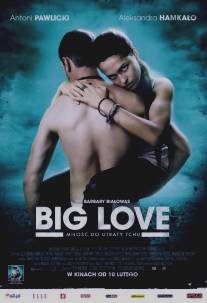 Большая любовь/Big Love (2012)