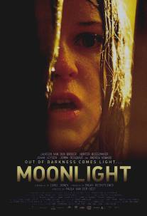 Лунный свет/Moonlight