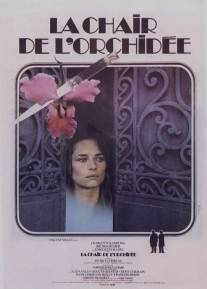 Плоть орхидеи/La chair de l'orchidee (1975)