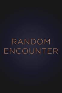 Случайная встреча/Random Encounter (1998)