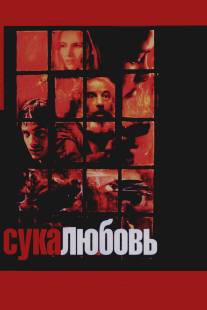 Сука-любовь/Amores perros (2000)