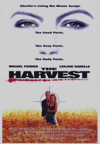 Урожай/Harvest, The (1992)