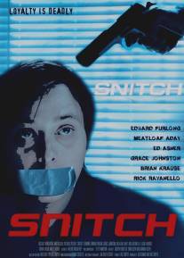 Защита свидетеля/Snitch (2011)