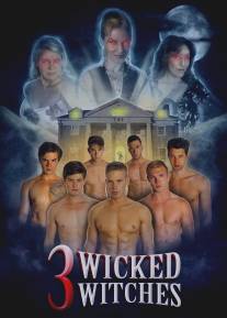 3 злые ведьмы/3 Wicked Witches (2014)