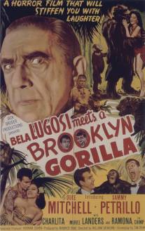 Бела Лугоши знакомится с бруклинской гориллой/Bela Lugosi Meets a Brooklyn Gorilla (1952)