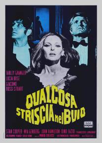 Что-то крадущееся в темноте/Qualcosa striscia nel buio (1971)