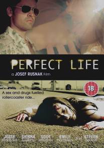 Идеальная жизнь/Perfect Life (2010)