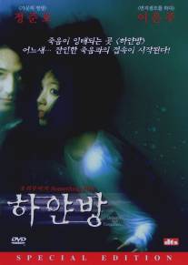 Нерожденный и всеми забытый/Hayanbang (2002)