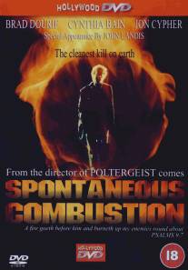 Спонтанное возгорание/Spontaneous Combustion (1990)