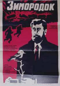 Зимородок/Zimorodok (1972)